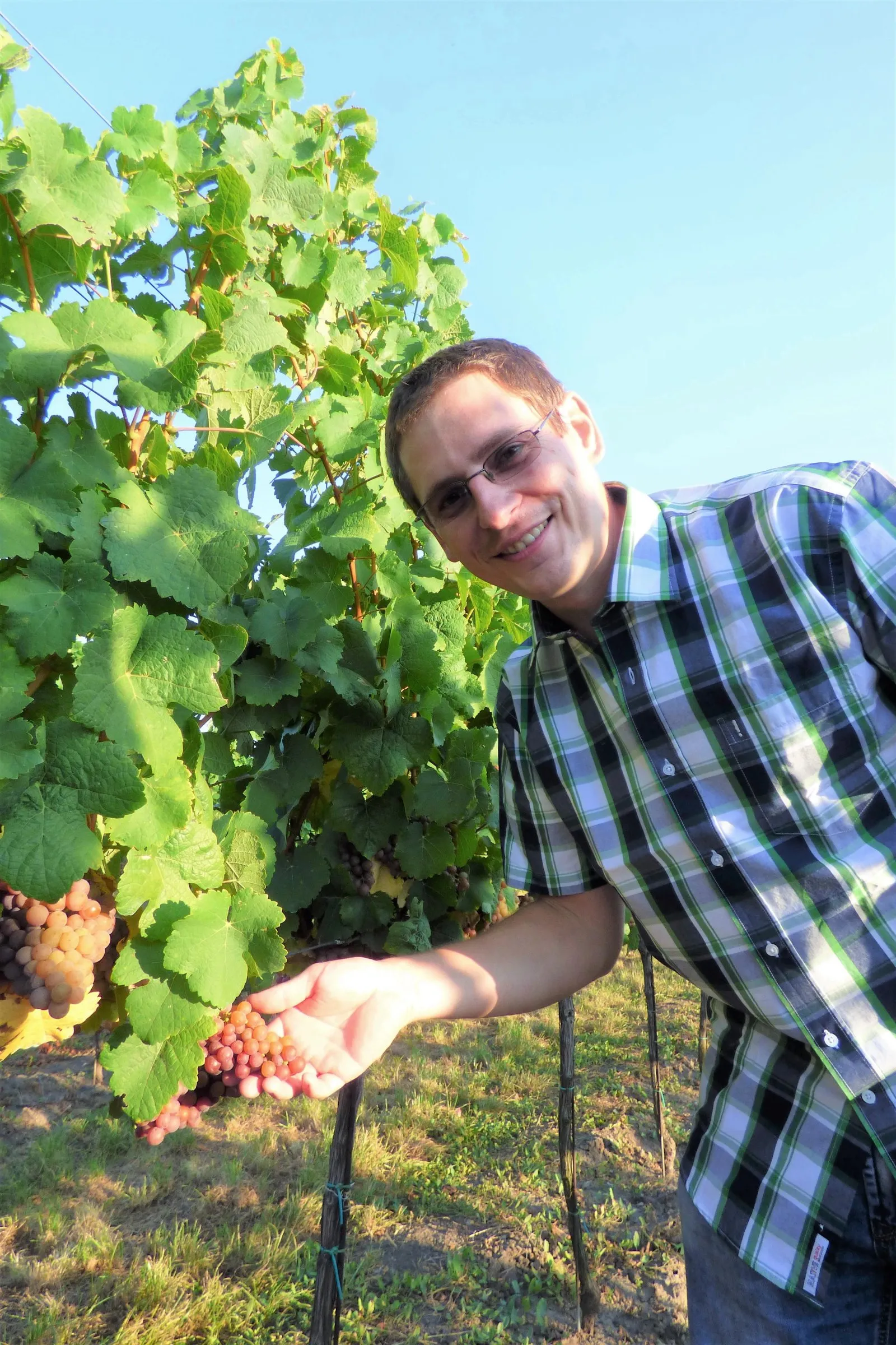 Vinařství Suchyňa