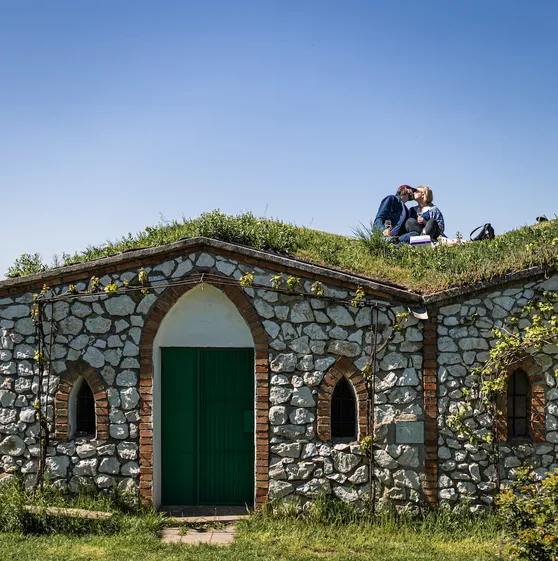 Vinař nalévá víno do sklenice