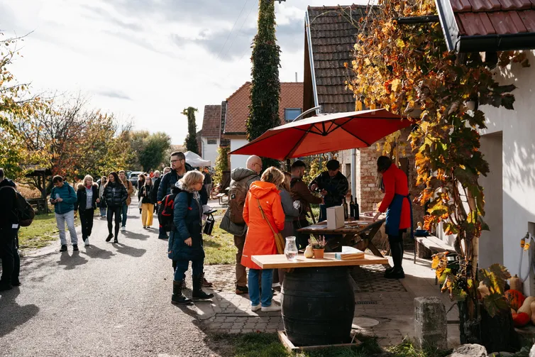Mladý pár sedící ma vinnem sklepě