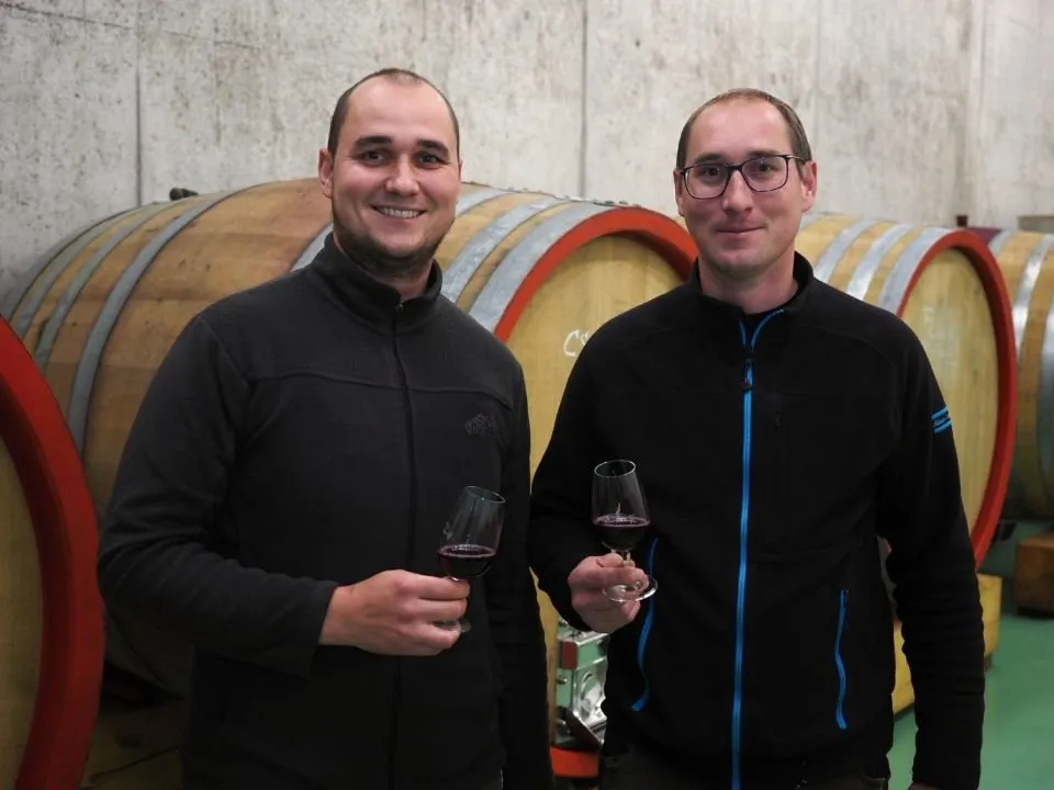 Vinařství Šabata s.r.o.