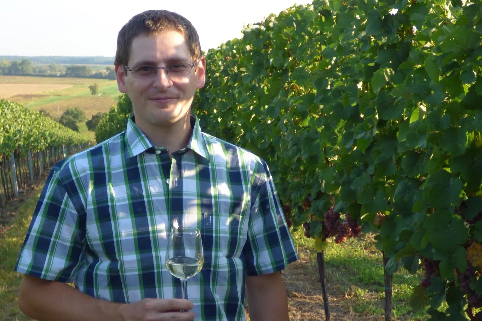 Vinařství Suchyňa